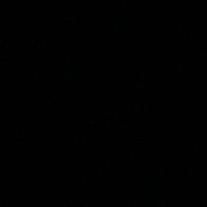 Meet your Posher, Sherlin